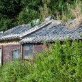 Само 10 секунди га делило од трагедије: Ушао у кућу, а онда се догодило нешто језиво