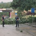 Drama u Novom Pazaru, tragedija izbegnuta za dlaku: Drvo palo na parkirani auto, građani upozoravali i ranije