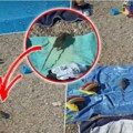 Snimak pacova na plaži koji traumira turiste u Crnoj Gori (video)