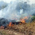 Žena zapalila rastinje na livadi, vatra se otrgla kontroli: Vatrogasci sprečili veći požar na Voždovcu