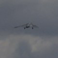 Oboren dron; Aktivirane sirene za vazdušnu opasnost