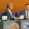 Biljana Đorđević (ZLF) u Strazburu tražila sankcije za Vučića, Dačića, Brnabić i Macuta