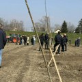 Pošumljavanje livade kod gradske plaže: 3.500 novih sadnica
