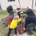 Lekcija iz prirode: Mališani iz Vrela zasadili svoj hrast