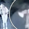 Zadrugari izračunali koliko je Sofija uzela novca Danetu: "Izmuzla ga kao niko"
