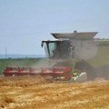Poljoprivrednici: Suša u Srbiji smanjila rod, troškovi rastu, a otkupne cene žitarica kao pre desetak godina