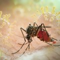 Opasan virus širi se Evropom, a za njega nema leka ni vakcine: Evo gde je najviše zaraženih