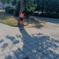 „MEDIANA“ NA TERENU ŠIROM NIŠA: Uređenje zelenila, ulica i drvoreda na brojnim lokacijama