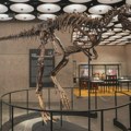 Fosil retkog dinosaurusa prodat za 47,3 miliona dolara: Jedan je od samo tri poznata primerka
