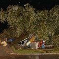 Okončana drama u Novom Sadu: Spasena radnica trafike na koju je palo drvo