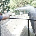 U zoo-vrtu Beograd preminula slonica Tvigi