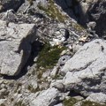 Jugoslavija i avioni: Nesreća na crnogorskom Maganiku budi jeziva sećanja i pola veka kasnije