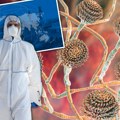 Gljivica koja "jede ljude iznutra" može da se raširi po planeti! Naučna studija kao iz horor serije, Zemlja se zagreva…