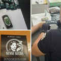 Carina: Zaplenjena marihuana pristigla u poštanskim pošiljkama u Beogradu i Nišu