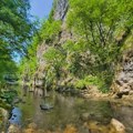 Predlog za vikend odmor: Najčistija reka u Srbiji, koja ima čak osam plaža