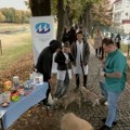 Besplatno veterinarsko savetovalište na pirotskom keju
