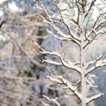 Na severu Mađarske, u Lenardaroču, izmerena rekordno niska dnevna temperatura