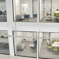 Srbija lider u IT sektoru Izvoz usluga dostigao 2,96 milijardi evra