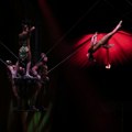Black Friday ponuda: 20% popusta na ulaznice za Cirque du Soleil za predstavu "OVO"