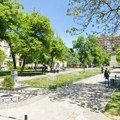 "Ovo je neki strani špijun" Neobičan gost snimljen u Nišu: Građani zanemeli zbog prizora