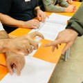 U Toplici pobedila lista oko SNS-a, Studentska lista druga po snazi