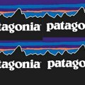 Patagonia odmara – još jedna velika lekcija poslovnom svetu