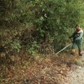 Uklanjanje nepoželjne vegetacije pored lokalnih puteva na teritoriji Kragujevca