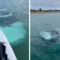 Уживала у мору и таласима, па угледала нестварну сцену: На дну је лежало чудо од 90.000 евра!