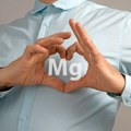 Srce ne može bez magnezijuma - čuva ga na tri načina