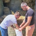 Grad Kragujevac organizuje pilot projekat Unapređenje stočarske proizvodnje