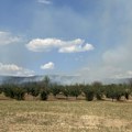 DEO VATRE UGAŠEN KOD GRGUREVACA: Vatrogasci se probijaju prema šumi
