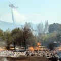 Gori šuma na Peloponezu, visina plamena prelazi 25 metara