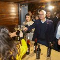 Počeo tradicionalni "Grožđebal" u Sremskim Karlovcima; Vučević: Država spremila podsticaje za vinarije