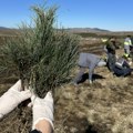 Zeleniji Zlatibor za nove generacije