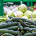 Epidemija salmonele iz krastavaca širi se na 18 država: Fda upozorava na opasnost, marketi povlače sumnjive proizvode