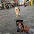 Ovo je najpoznatiji pas na svetu: Reakcija ljudi kada je vide je neverovatna, snimci će vam popraviti dan