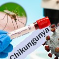 Nije virus Zapadnog Nila: SZO izdala hitno saopštenje, bolest koju prenose komarci predstavlja opasnost za ceo svet