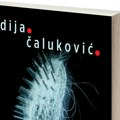 „Bukvalno. Otprilike“: Poetska drama Tadije Čalukovića u kojoj čitatelj konstantno priželjkuje odgovor