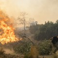 Jul najtopliji mesec ikada zabeležen: "Strašne posledice za ljude i planetu, izloženi smo sve češćim ekstremima"