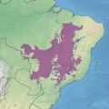 Krčenje šuma u brazilskom ekosistemu Serado sve veće