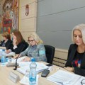 Sednice Veća i Skupštine grada iduće nedelje
