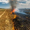 Pikavac uzrokovao požar kod Banatskog Novog Sela? Posle užasne nesreće, vatra zahvatila njive