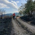 Црвени крст Србије отворио рачун за прикупљање новчане помоћи угроженима у пожарима