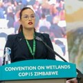 Pavkov na čelu delegacije u Zimbabveu: Novi Sad preuzeo prestižno međunarodno priznanje "Grad vlažnih područja“