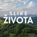 Slike života, nedelja u 15.15h: Šta je novo nad planinom Starom?