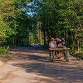 Zapregom pokušao da pređe reku u Prahovu i nestao! Našli konja, od vlasnika i dalje ni traga