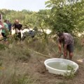 Pomoć ugroženim životinjama u Deliblatskoj peščari
