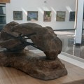 Zbog velikog interesovanja produžena izložba „XX godina ARTE galerije – umetnost XX veka“ u Nišu