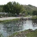 Planirate beg od nepodnošljivih letnjih vrućina i gužvi? Ovo su najlepša skrivena kupališta širom Srbije