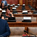 Zelenović: Ponavljanje izbora, krivična odgovornost i čišćenje biračkog spiska